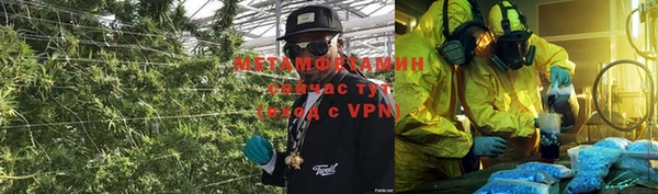 сатива Пролетарск