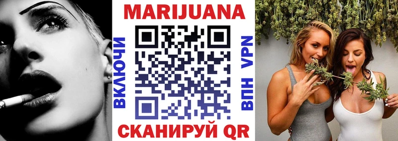 мега ссылки  как найти наркотики  Суджа  Каннабис сатива 
